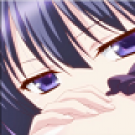 Light Novel