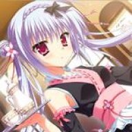shana1508